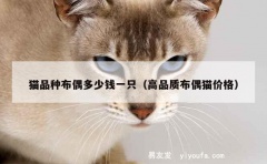 猫品种布偶多少钱一只（高品质布偶猫价格）