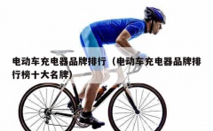 电动车充电器品牌排行（电动车充电器品牌排行榜十大名牌）