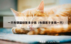 一只布偶猫幼崽多少钱（布偶崽子多钱一只）