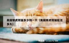 美国银虎斑猫多少钱一只（美国银虎斑猫能活多久）