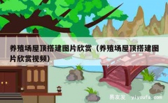 养殖场屋顶搭建图片欣赏（养殖场屋顶搭建图片欣赏视频）