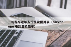 三轮酷车老年人价格及图片表（carverone 电动三轮酷车