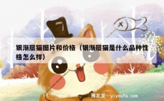 银渐层猫图片和价格（银渐层猫是什么品种性格怎么样）