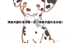 博美犬图片多少钱一只（博美犬图片及价格）