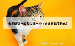 金虎斑猫一般多少钱一个（金虎斑猫值钱么）