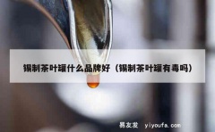 锡制茶叶罐什么品牌好（锡制茶叶罐有毒吗）