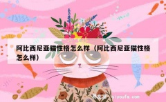 阿比西尼亚猫性格怎么样（阿比西尼亚猫性格怎么样）