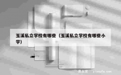 玉溪私立学校有哪些（玉溪私立学校有哪些小学）