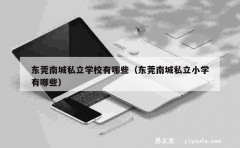 东莞南城私立学校有哪些（东莞南城私立小学有哪些）