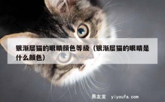 银渐层猫的眼睛颜色等级（银渐层猫的眼睛是什么颜色）