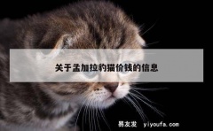 关于孟加拉豹猫价钱的信息