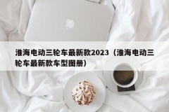 淮海电动三轮车最新款2023（淮海电动三轮车最新款车型图册）