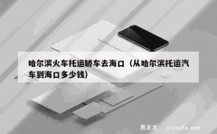 哈尔滨火车托运轿车去海口（从哈尔滨托运汽车到海口多少钱）