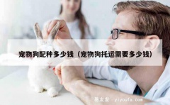 宠物狗配种多少钱（宠物狗托运需要多少钱）