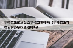 非师范生能进公立学校当老师吗（非师范生可以去公办学校当老师吗