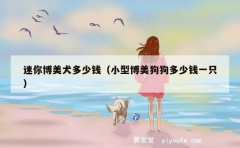 迷你博美犬多少钱（小型博美狗狗多少钱一只）