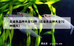 孔雀鱼品种大全72种（孔雀鱼品种大全72种图片）