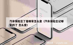 汽车保险忘了是哪家怎么查（汽车保险忘记哪家的了 怎么查）