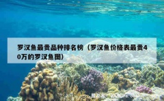 罗汉鱼最贵品种排名榜（罗汉鱼价格表最贵40万的罗汉鱼图）