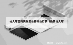 仙人球盆栽美猴王价格报价行情（最美仙人球）