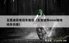 五菱迷你电动车报价（五菱迷你mini版电动车价格）