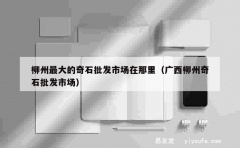 柳州最大的奇石批发市场在那里（广西柳州奇石批发市场）