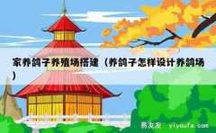 家养鸽子养殖场搭建（养鸽子怎样设计养鸽场）