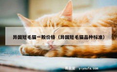 异国短毛猫一般价格（异国短毛猫品种标准）