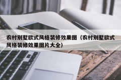 农村别墅欧式风格装修效果图（农村别墅欧式风格装修效果图片大全