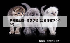 杂交的蓝猫一般多少钱（蓝猫价格200~500）