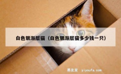 白色银渐层猫（白色银渐层猫多少钱一只）