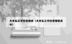 大丰私立学校有哪些（大丰私立学校有哪些高中）