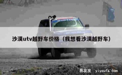 沙漠utv越野车价格（我想看沙漠越野车）