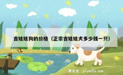 吉娃娃狗的价格（正宗吉娃娃犬多少钱一只）