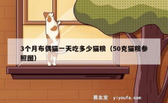 3个月布偶猫一天吃多少猫粮（50克猫粮参照图）