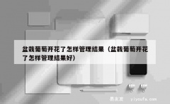 盆栽葡萄开花了怎样管理结果（盆栽葡萄开花了怎样管理结果好）