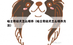 哈士奇幼犬怎么喂养（哈士奇幼犬怎么喂养方法）