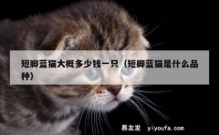 短脚蓝猫大概多少钱一只（短脚蓝猫是什么品种）