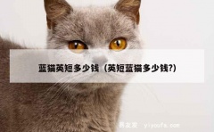 蓝猫英短多少钱（英短蓝猫多少钱?）