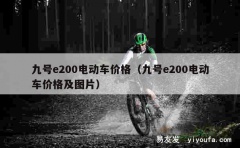 九号e200电动车价格（九号e200电动车价格及图片）