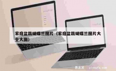 家庭盆栽蝴蝶兰图片（家庭盆栽蝴蝶兰图片大全大图）