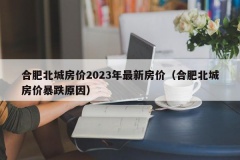 合肥北城房价2023年最新房价（合肥北城房价暴跌原因）