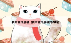 折耳金渐层猫（折耳金渐层猫好养吗）