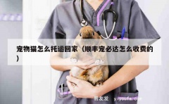 宠物猫怎么托运回家（顺丰宠必达怎么收费的）