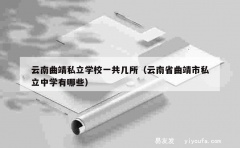 云南曲靖私立学校一共几所（云南省曲靖市私立中学有哪些）