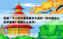 搭建一个小型养殖场要多大面积（农村建设小型养殖场厂需要什么条