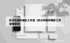 武汉市婚纱摄影工作室（武汉市婚纱摄影工作室哪家好）