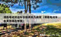 渭南电动货运车价格表实力商家（渭南电动车批发市场在哪里）