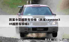 凯宴小型越野车价格（凯宴cayenne30t越野车价格）