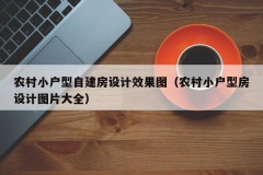 农村小户型自建房设计效果图（农村小户型房设计图片大全）